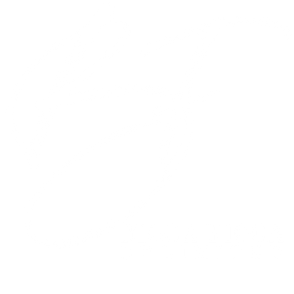 Bigga Figga Unlimited  